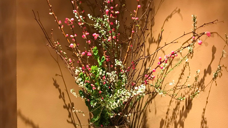 今週のお花が届きました！（2月20日）