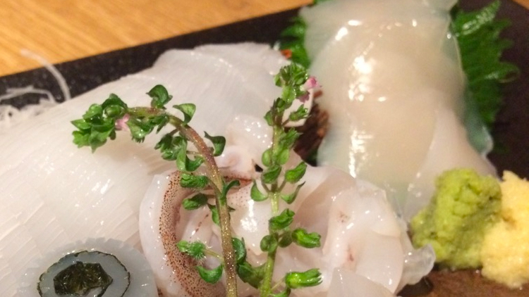 本日のおすすめ「ヤリイカの刺身」