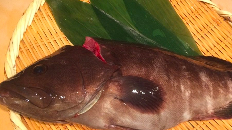 「朝〆真ハタ」、入りました！