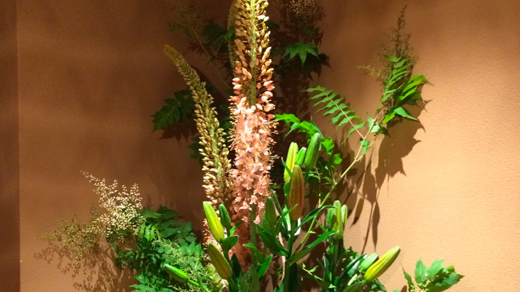 今週のお花が届きました！（5月29日）